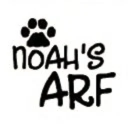 Icono de Noah's Arf
